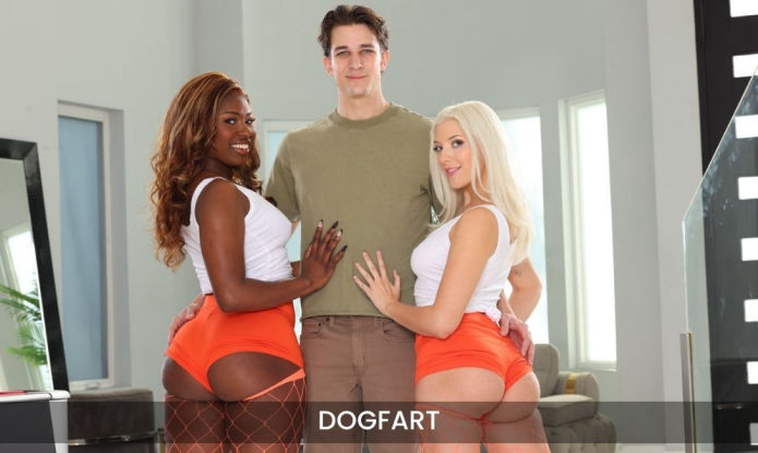 Dogfart SFW